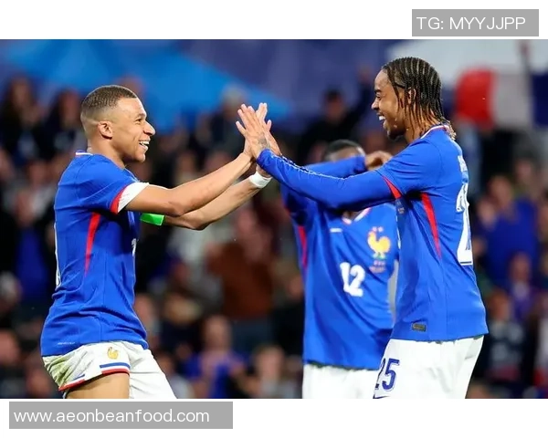 法国足球十位传奇球星的荣耀时刻与影响力解析 法国足球十位传奇球星的荣耀时刻与影响力解析