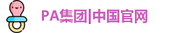 PA集团